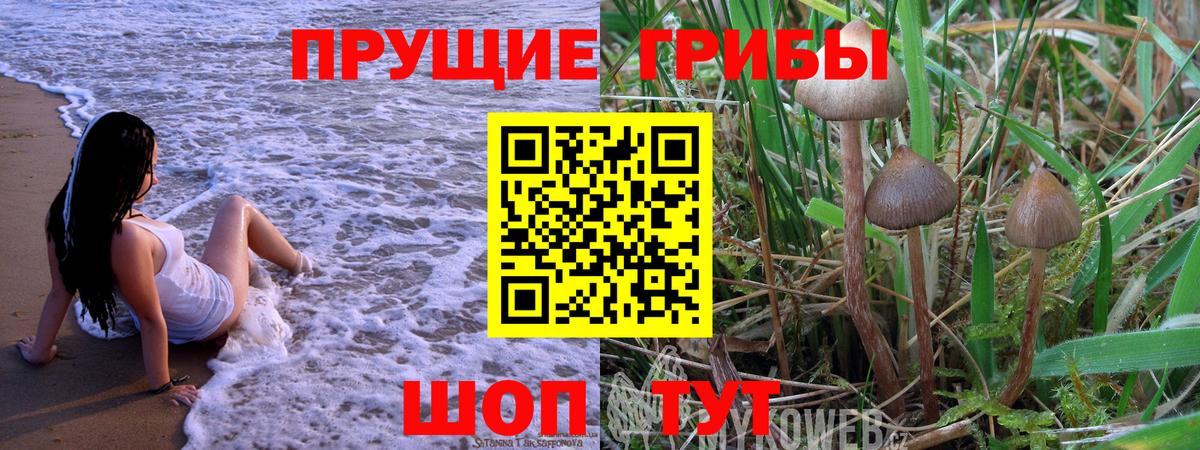 Галлюциногенные грибы MAGIC MUSHROOMS  Вход с VPN  закладки  Тосно 